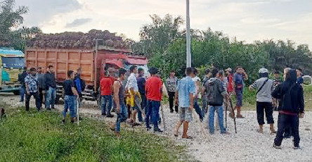 Babak Baru Konflik Kebun Sawit di Siak, Dirjenbun Ternyata Setujui Pengurangan Lahan PT DSI