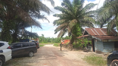 Berkonflik dengan PT DSI, Pemkab Siak Ukur Lahan Sawit Milik Masyarakat Dayun