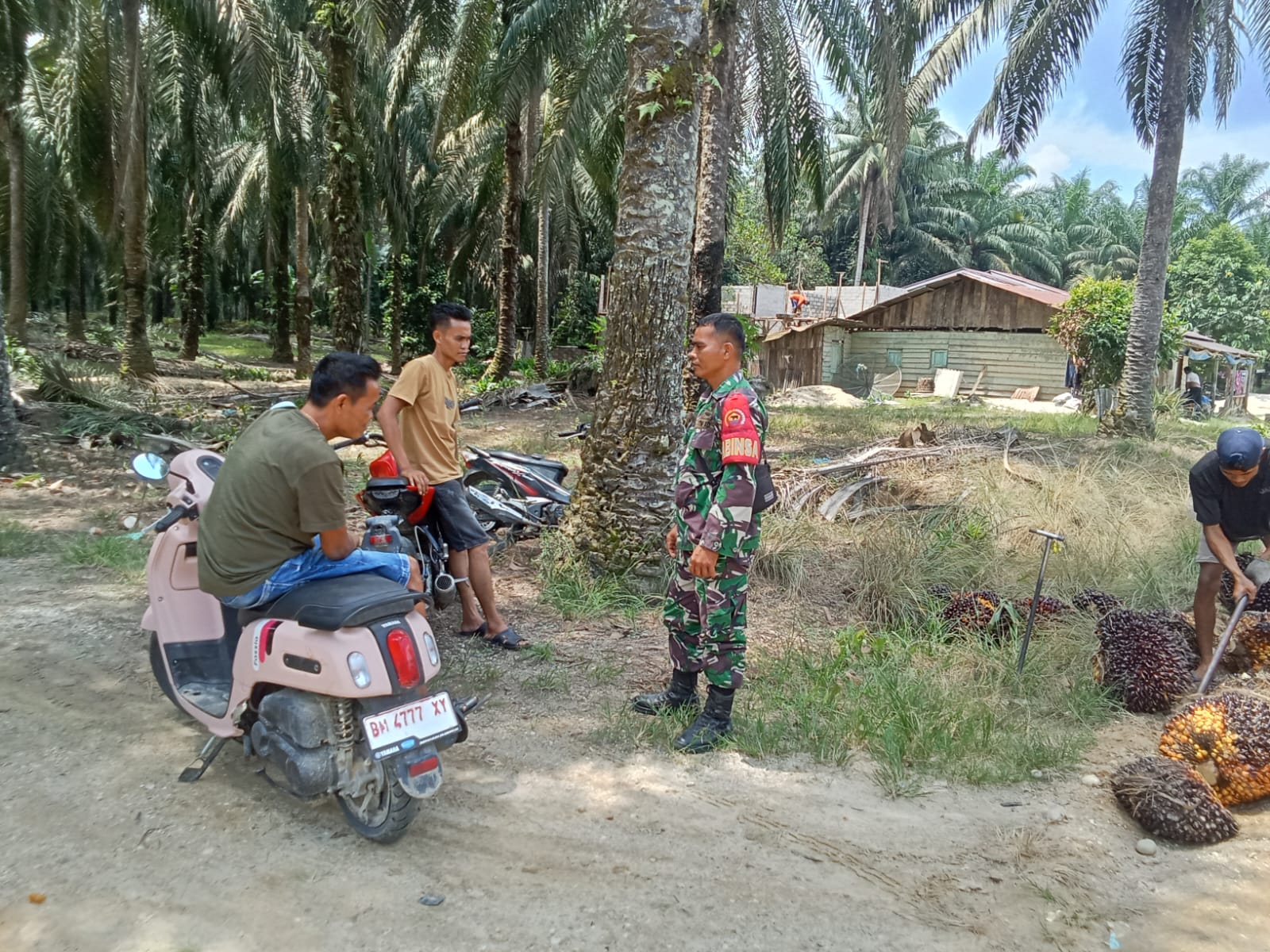Babinsa Koramil 11/Tambusai Laksanakan Anjangsana dan Komsos dengan Petani Sawit di Desa Mahato Sakti