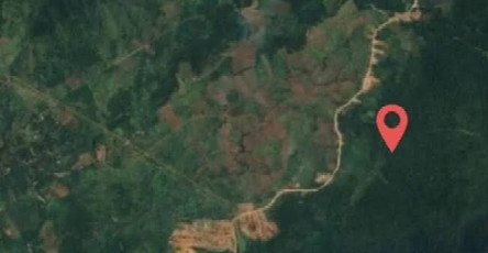 Asri Tadda Nilai Kebijakan Sewa Lahan ke IHIP Jadi Bom Waktu Politik di Kabupaten Luwu Timur