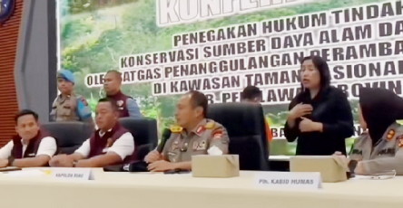 Viral Tiktok, Mandala Foundation Sangat Senang Kapolda Riau Pasang Badan Mewakili Gajah TNTN Kembali Kerumah Mereka