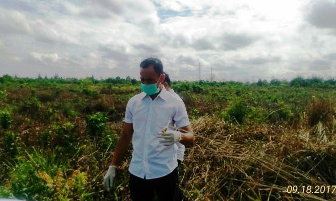 Limbah Medis Dibuang dalam Semak Pelalawan