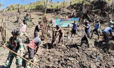 TNI Buka Lahan Untuk Berkebun, Bantu Tingkatkan Perekonomian Masyarakat di Wilayah Papua