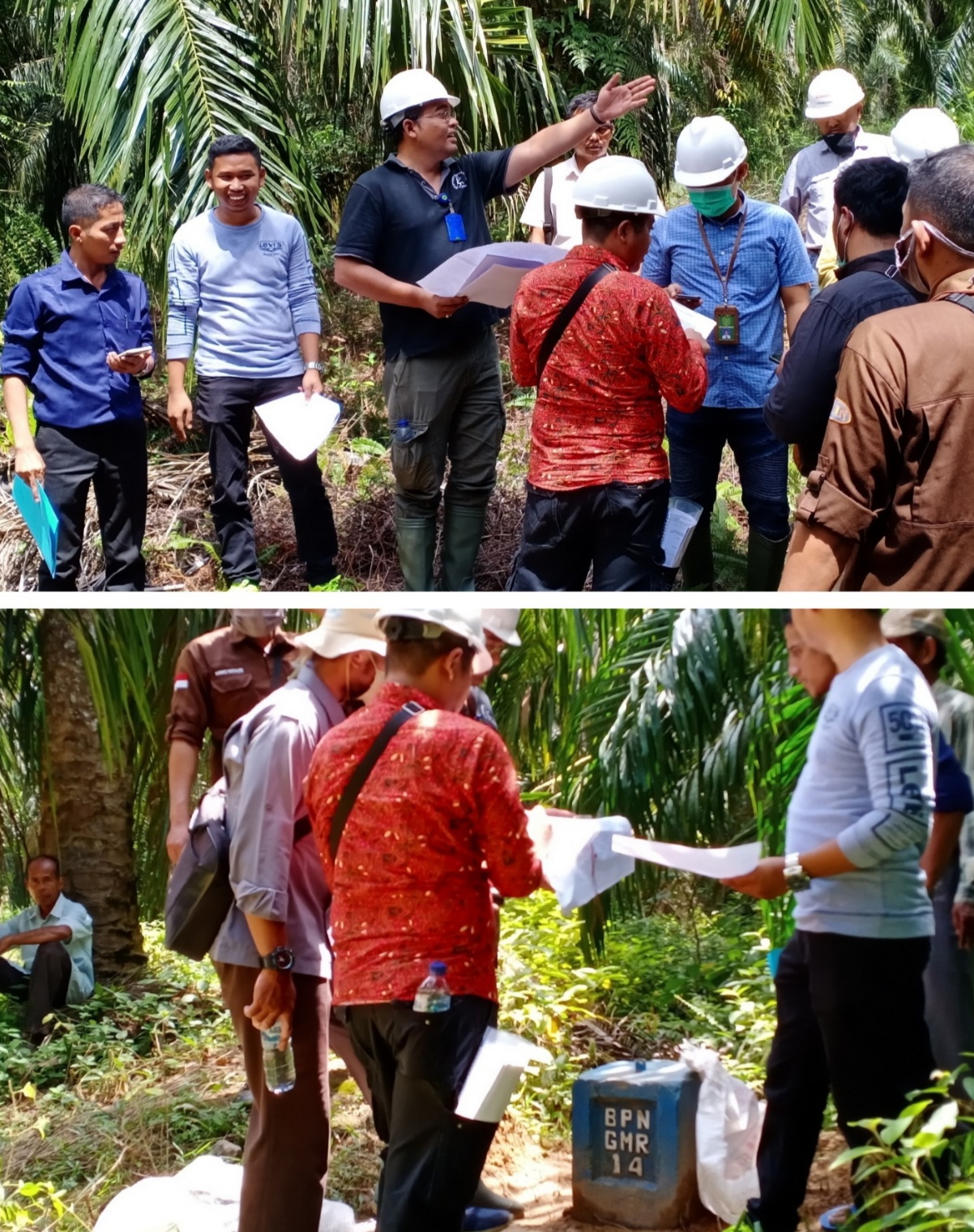 Caplok Lahan Warga Berdalih Areal Lahan HGU, Hakim Gelar Sidang PS di Perkebunanan Sawit PT.GMR