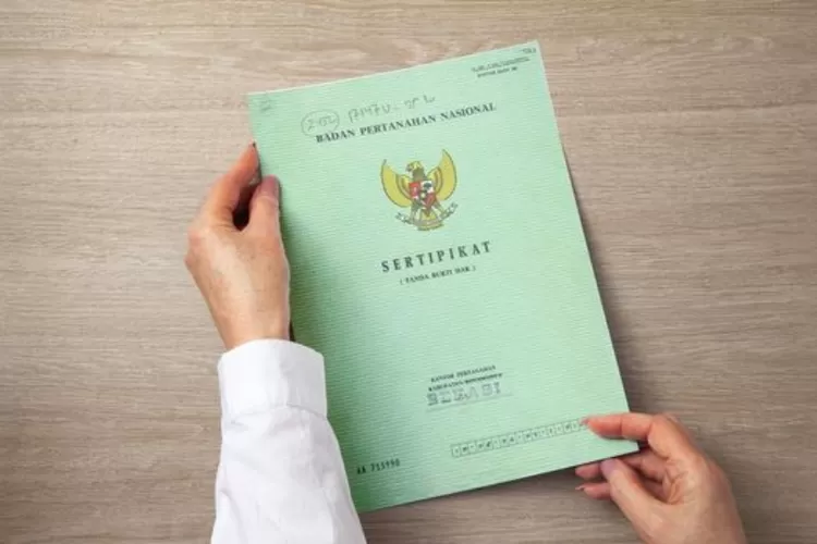 Penjelasan Ahli Soal Putusan Pengadilan atas Sengketa Kepemilikan Tanah