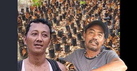 Maruf Membantah; Lahan Penghijauan Yayasan Mandala Tak Pernah Diperjual Belikan, yang Ada Boimin Beli Lahan Di Petak 9000 PT PSPI