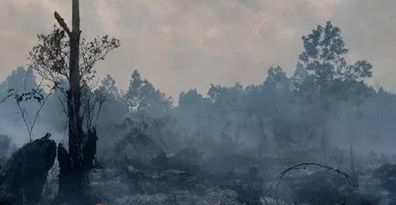 Mandala Foundation ; Bencana Karhutla dan Kabut Asap Bukan Salah Pemimpin Peduli Lingkungan