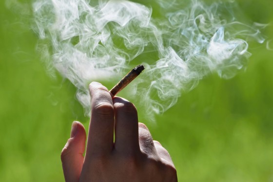 Tak Hisap Ganja Tapi Positif, Kok Bisa? Ini Penjelasannya