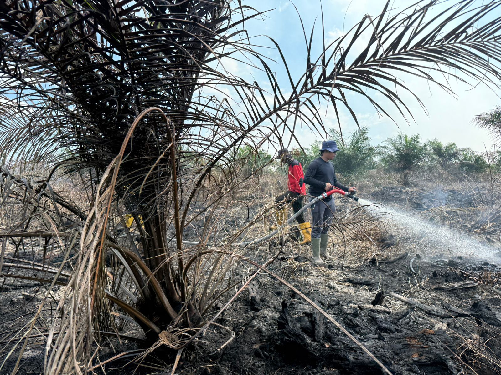 Karhutla Kian Mengancam, Camat Bangko Pusako Pimpin Langsung Pemadaman dan Beri Peringatan