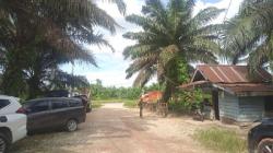 Berkonflik dengan PT DSI, Pemkab Siak Ukur Lahan Sawit Milik Masyarakat Dayun