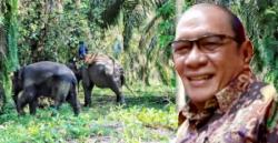 Pegiat Lingkungan Ingatkan Oberlin Marbun Laporkan Kebun dalam Kawasan TNTN
