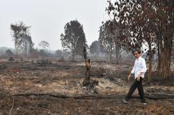 Presiden Jokowi Tinjau Langsung Lokasi Karhutla di Pelalawan Riau