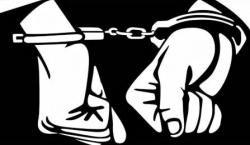 Tim Polres Pelalawan Tangkap 5 Oknum Kehutanan Riau di Kawasan TNTN Langgam
