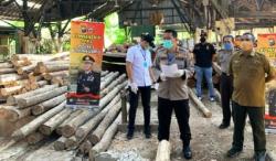 Pencuri Kayu di Hutan Jati Bojonegoro Ditangkap