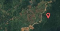 Asri Tadda Nilai Kebijakan Sewa Lahan ke IHIP Jadi Bom Waktu Politik di Kabupaten Luwu Timur