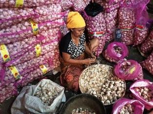 Stabilkan Harga, Bulog Pasok 6 Ton Bawang Putih