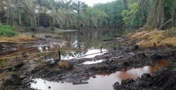 Pemulihan Limbah TTM Blok Rokan Lamban, CERI ; Ini Kejahatan Negara Terhadap Rakyat Riau