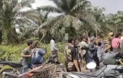 Polisi Didesak Tangkap Pelaku Penyerangan Brutal, KSO PAB Minta 2 Karyawannya Dibebaskan