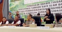 Viral Tiktok, Mandala Foundation Sangat Senang Kapolda Riau Pasang Badan Mewakili Gajah TNTN Kembali Kerumah Mereka