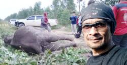 Gajah Liar Tesso Nilo Diracun, Aktivis; Demi Lingkungan Uni Eropa Diminta Blokir Produk Pulp Riau
