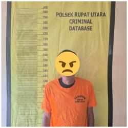 Hotspot Terendus, Polres Bengkalis Ungkap Karhutla 35 Hektare di Rupat Utara, Satu Tersangka Diamankan