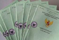 Petani Sawit di Koto Gasip Menangkan Gugatan Perdata Melawan PT DSI