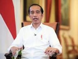 Jokowi Larang Ekspor Minyak Goreng dan Bahan Baku