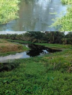 Bara- JP, Minta Pemda Rohil Normalisasi Sungai Navigasi di Labuhan Tangga