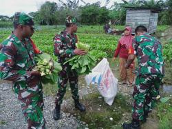Babinsa Koramil 1710-02/Timika Terus Dampingi Para Petani Di Wilayah Binaan