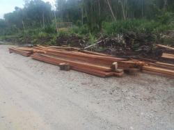 Cukong Ilegal Logging di Tohor Meranti, Diduga Oknum Polair