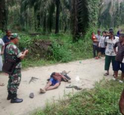 Warga Kelurahan Kampung Baru Dihebohkan Dengan Penemuan Mayat di Ladang Sawit