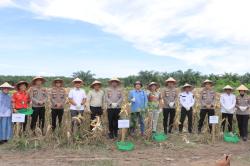 Kapolres Kampar Hadiri Panen Jagung Pipil di Rantau Kasih, Dorong Swasembada Pangan Berbasis Kolaborasi