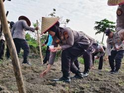 Dukung Ketahanan Pangan Nasional, Kapolsek Senapelan Pimpin Penanaman Jagung Pipil