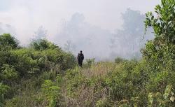 Kabut Asap Karhutla Riau Tutup Wilayah Malaysia