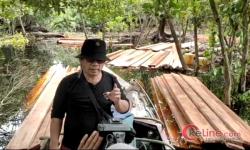 Hutan Suaka Margasatwa Kerumutan Dirambah, ARIMBI: BKSDA Kemana?