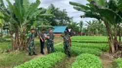 Danrem 174 Kolonel Agus Widodo Tinjau Kebun Pisang dan Kebun Sayur Binaan Babinsa di Timika