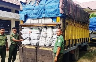 Tim KPH Wilayah III Aceh, Sikat Arang Bakau Tampa Dokumen