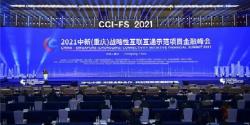 Lebih dari 12 Negara Hadiri CCI-FS yang Berlangsung Serentak di Chongqing, Tiongkok dan Singapura