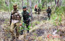 Prajurit TNI Satgas Pamtas Yonif 411 Kostrad Patroli Patok Bersama Tentara PNG