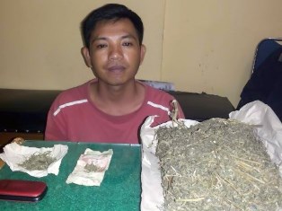 Sumadi Diciduk Saat Tunggu Pembeli Ganja