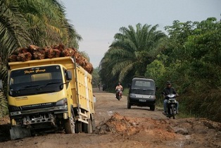 Jalan Poros Ukui-Kerumutan Tuntas Tahun Depan